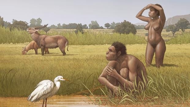 Homo bodoensis, una nueva especie humana para poner orden en el caos