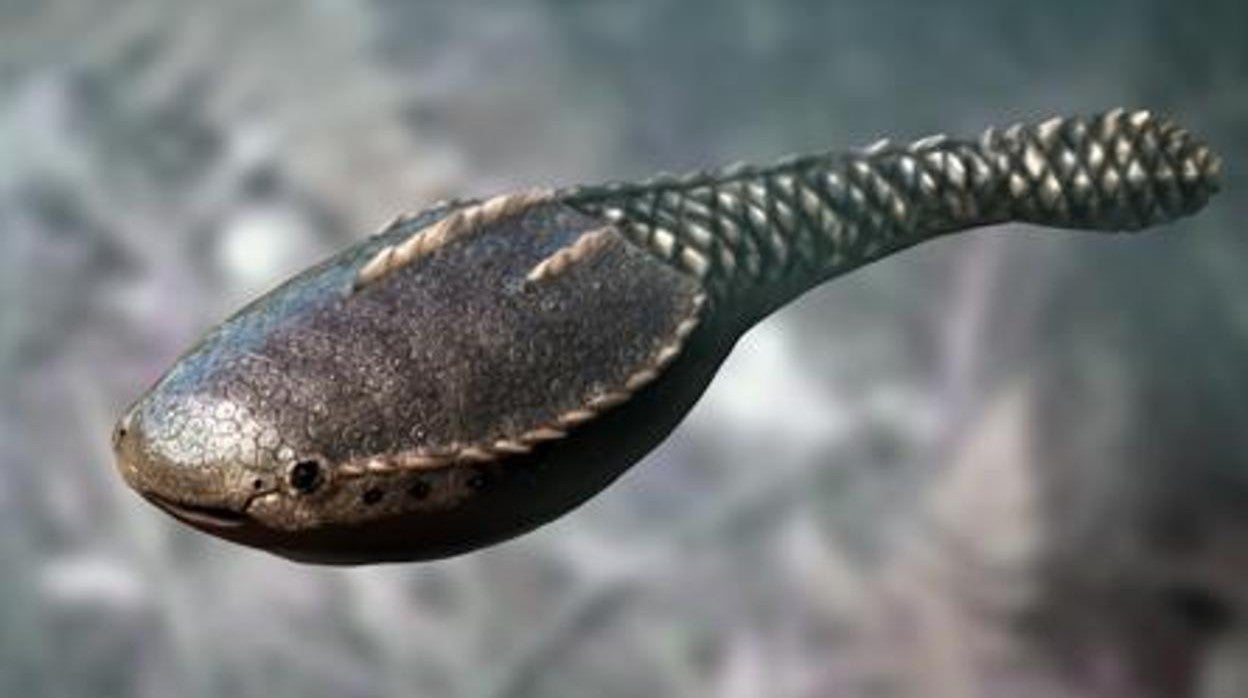 Un pez blindado de hace 455 millones de años, en las aguas de lo que hoy es Colorado (EE.UU.)