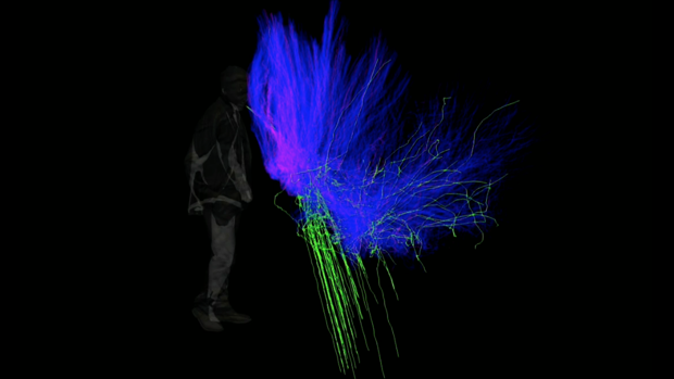 Científicos de Cambridge afirman que la regla de los dos metros de distancia es una «medida arbitraria»
