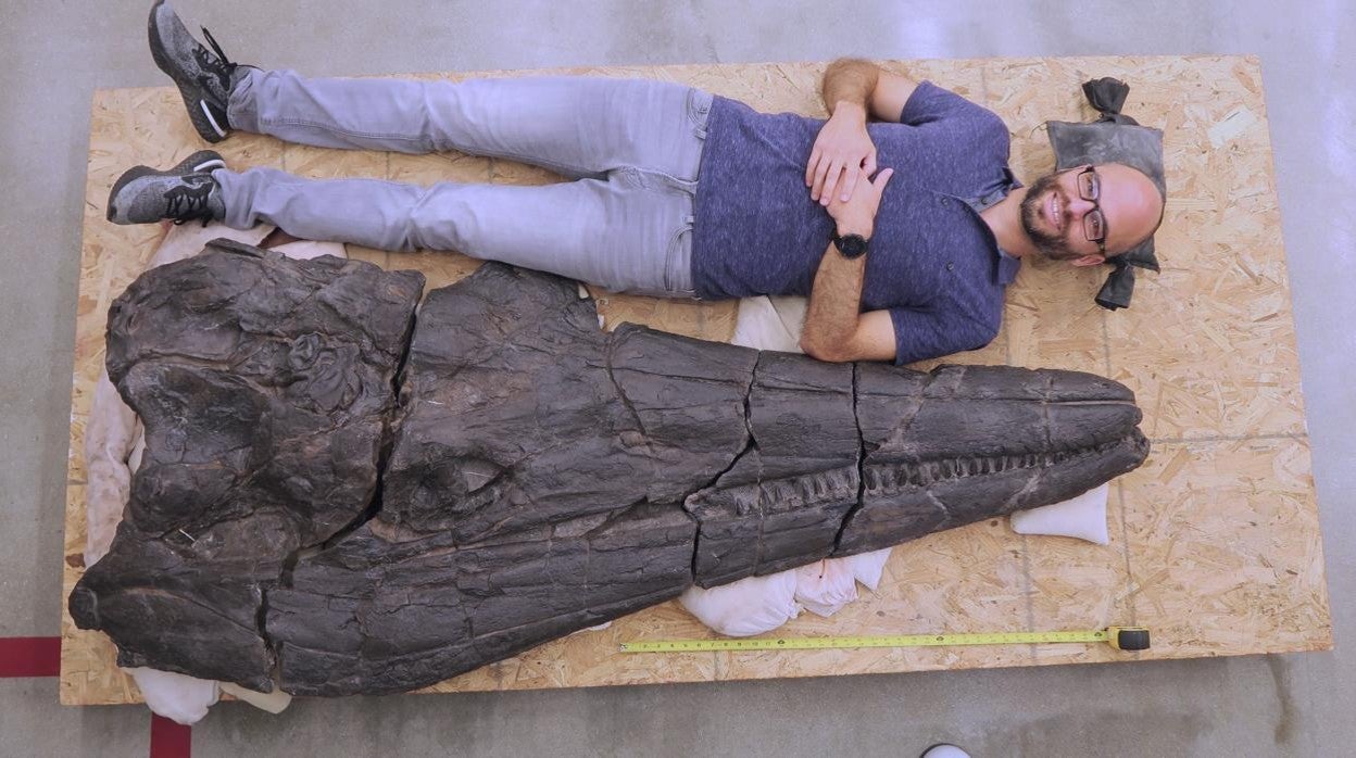 Uno de los investigadores junto al cráneo de Cymbospondylus youngorum