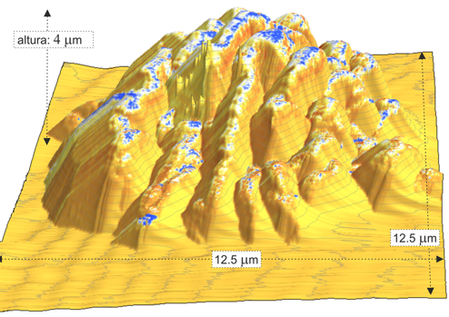 Imagen obtenida mediante microscopía de fuerza atómica de un pétalo de rosa. La altura se corresponde con la morfología y muestra la gran rugosidad a escala micro y nanométrica. Los puntos azules se corresponden con zonas hidrófilas, en su mayoría en lo más alto de la superficie de la rosa