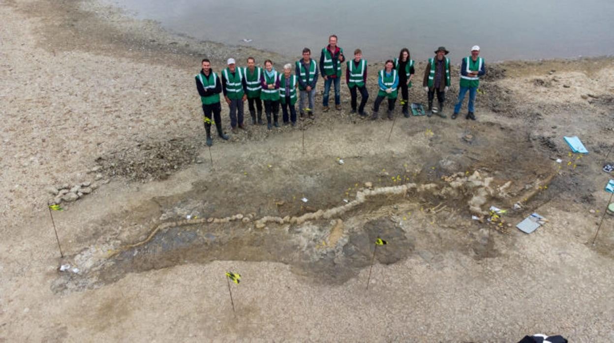 Paleontólogos que trabajan en el esqueleto de ictiosaurio encontrado en Rutland Water