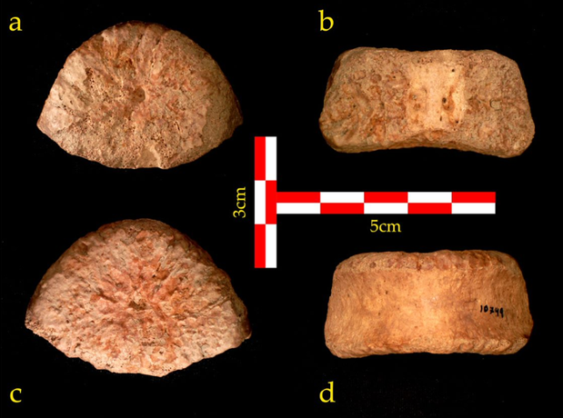Los primeros humanos salieron de África en distintas oleadas
