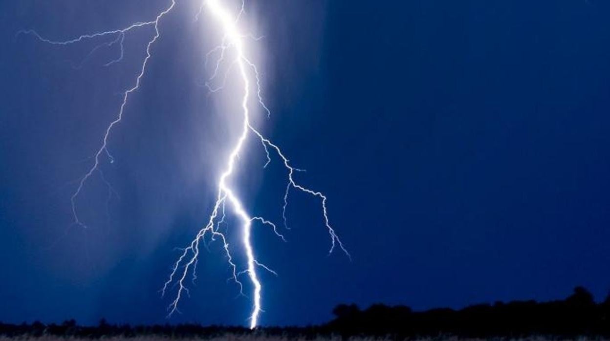 Un rayo cae en una zona boscosa en las cercanías de la localidad de Petersdorf, en el estado federado de Brandenburgo, en el norte de Alemania el 17 de julio de 2010