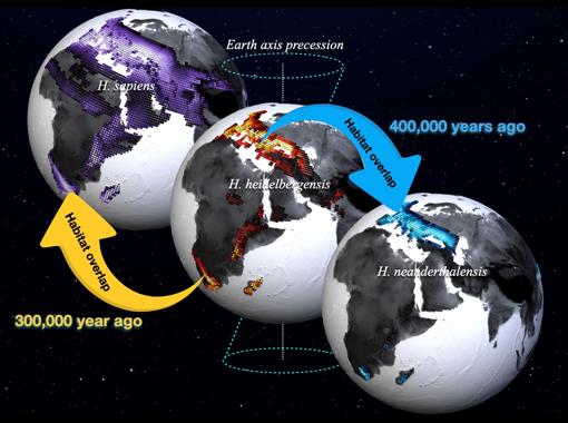 Hábitats preferidos del Homo sapiens (sombreado morado, izquierda), Homo heidelbergensis (sombreado rojo, centro), Homo neanderthalensis (sombreado azul, derecha) calculados a partir de una nueva simulación de modelo paleoclima realizada en el Centro IBS para la Física del Clima y una compilación de fósiles y datos arqueológicos. Los valores más claros indican una mayor idoneidad del hábitat. Las fechas (1 ka = 1000 años antes del presente) se refieren a las edades estimadas de los fósiles más jóvenes y más antiguos utilizados en el estudio.