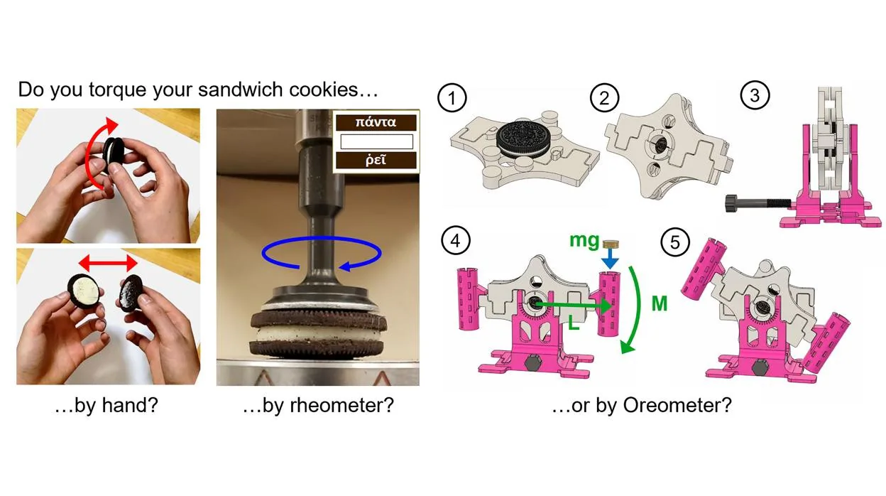 El equipo colocó galletas en un reómetro de laboratorio y diseñó un Oreómetro impreso en 3D para estudiar las influencias de la tasa de rotación, el sabor, la cantidad de crema y el medio ambiente en las Oreo