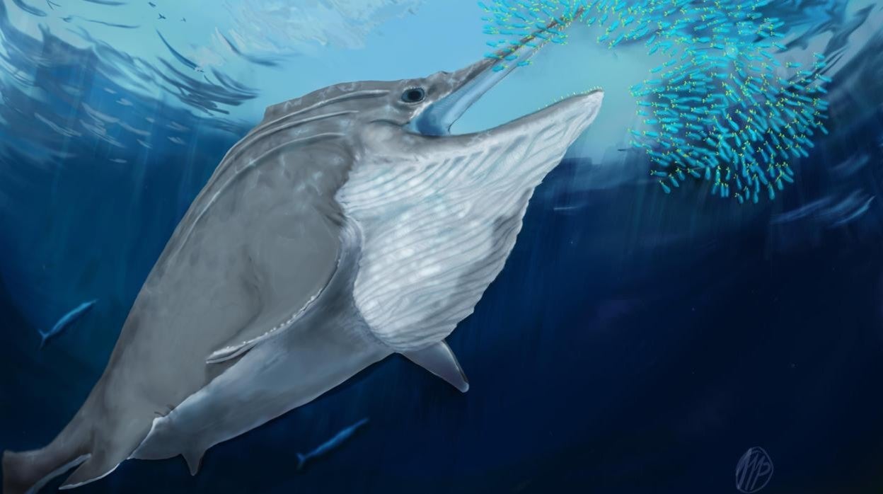 Reconstrucción de la vida de un ictiosaurio gigante del Triásico superior alimentándose en masa de un banco de calamares