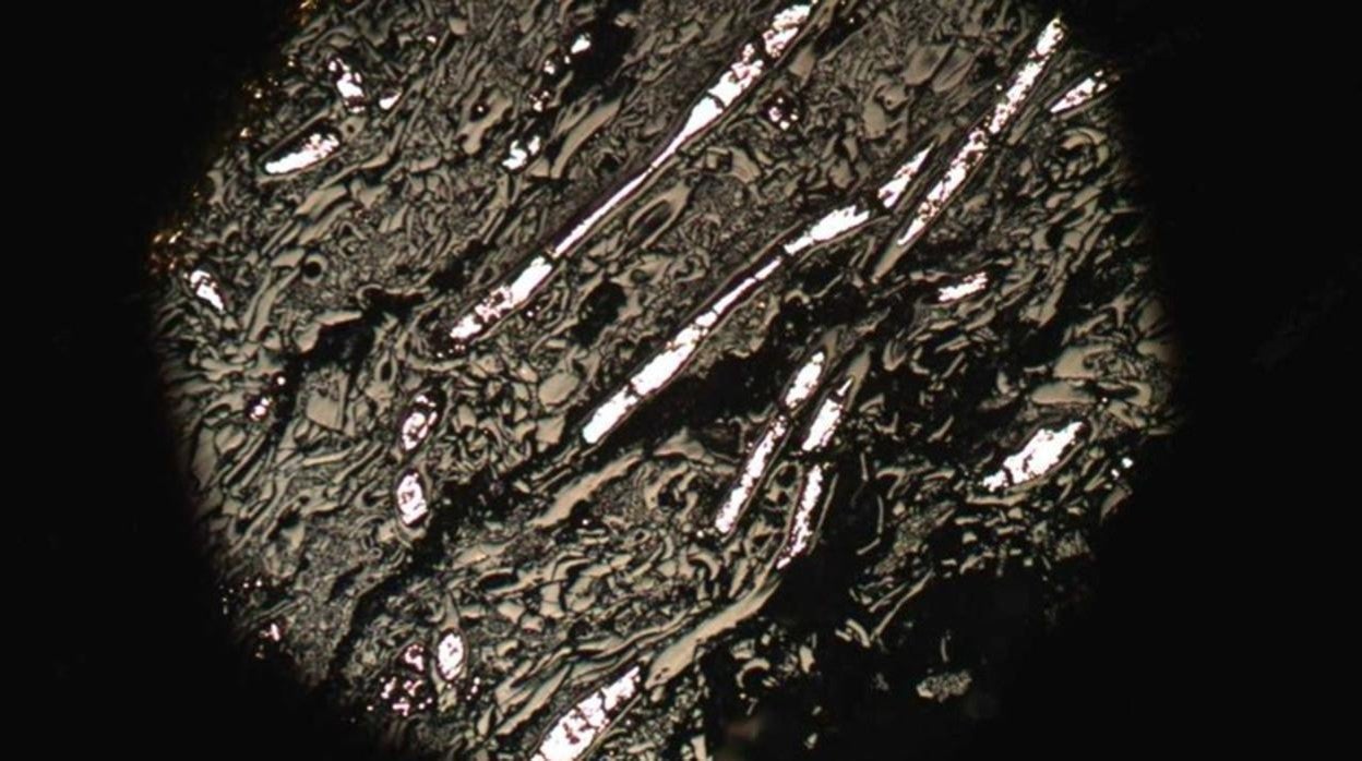 Imagen de microscopio de un Prototaxites carbonizado de 430 millones de años de un pozo perforado en Gales. El material altamente reflectante (blanco) que llena los tubos más grandes es pirita, un mineral que se encuentra comúnmente en asociación con el carbón