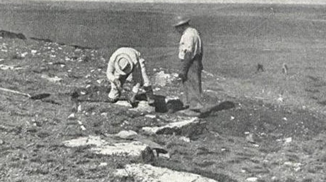 Parte del material recolectado por los investigadores