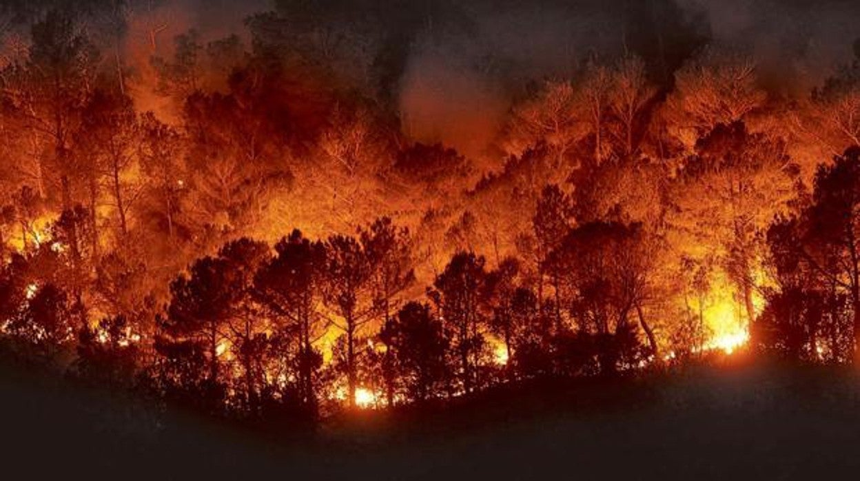 Tormentas de fuego: cuando las llamaradas tienen tanta potencia como varias bombas atómicas