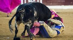 Paquirri, en el momento de la cornada en Huesca