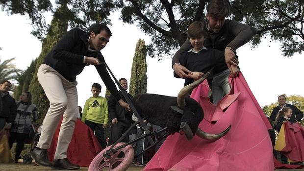 Pasión por el toreo