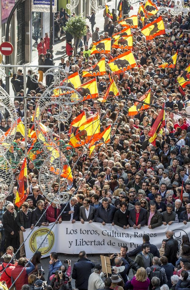 El mundo del toro reclama libertad en un día histórico