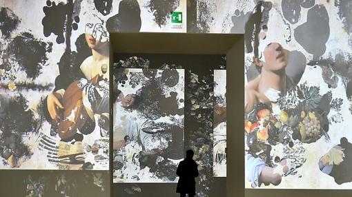 Una de las proyecciones de la muestra