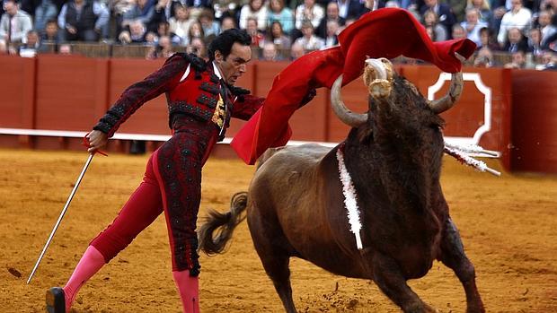 Manuel Jesús «El Cid», este miércoles en la Maestranza