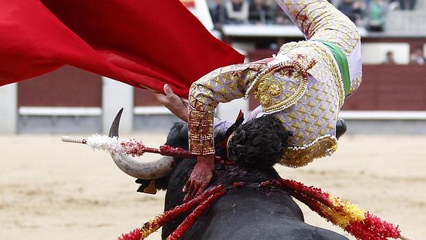 Cornada a Gallo de Córdoba en Las Ventas