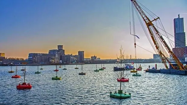 El «bosque flotante» en el puerto de Rotterdam