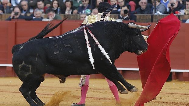 Alberto López Simón, con su primer toro