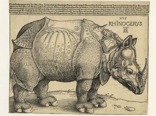 Rinoceronte 1515. Museos de la Ciudad de Núremberg, Colección Diehl