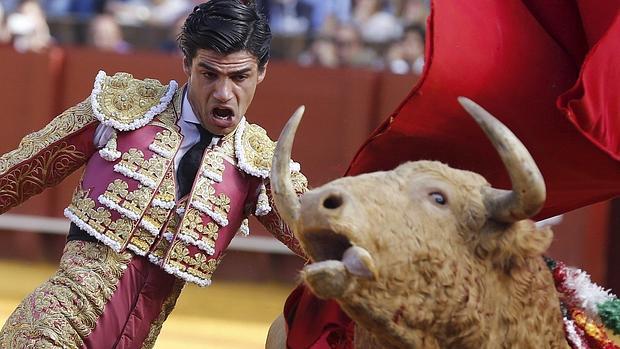 El novillero Pablo Aguado en su primero durante la corrida celebrada con motivo del Corpus Christi