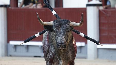 El manso cuarto, infumable, fue condenado a banderillas negras