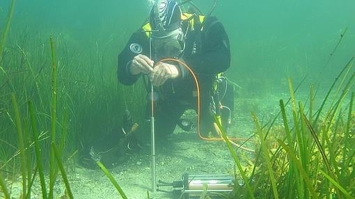 Una foto del proyecto premiado, liderado por Dinamarca
