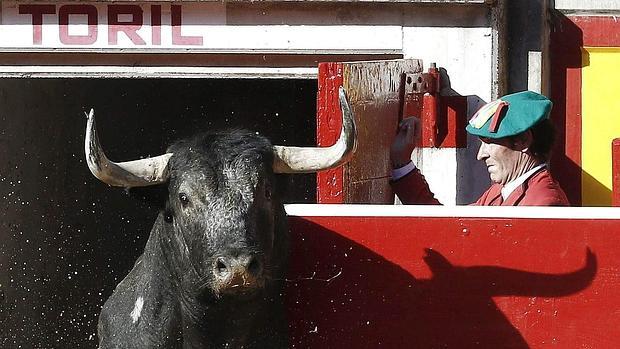 Un toro de Miura sale de toriles en Pamplona