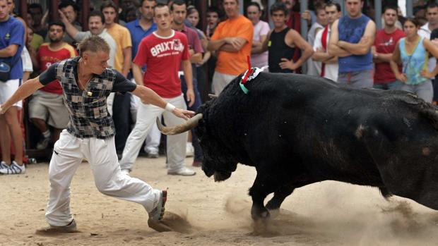 El Ayuntamiento de Valencia se ratifica en su decisión de prohibir el toro embolado