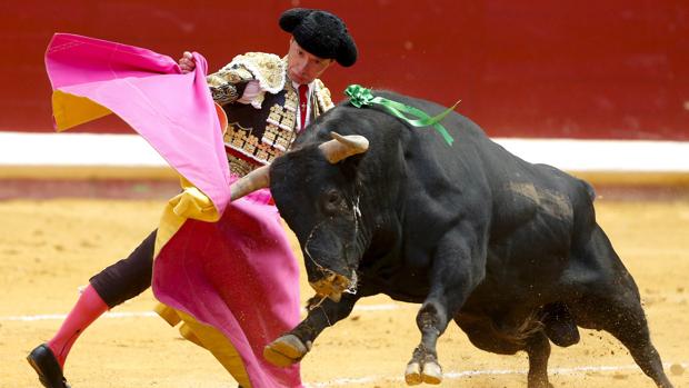 Joselito Adame se dobla con el toro