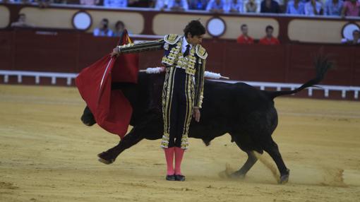 Castella se fue de vacío en la corrida de Juan Pedro Domecq