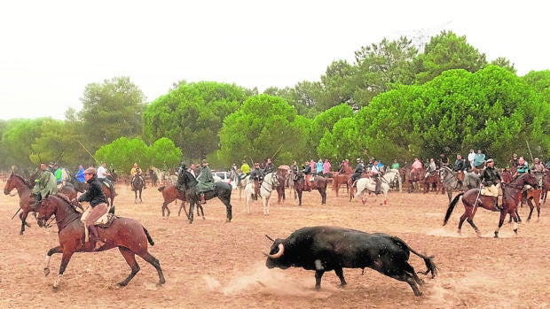 Encierro en Tordesillas