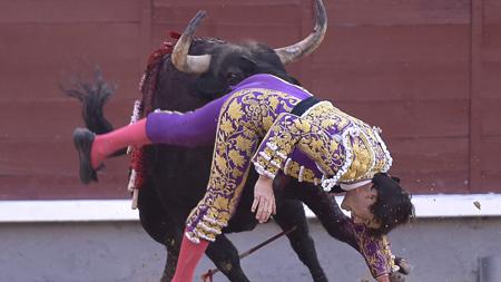 Volteretón a José Garrido