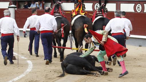 David Mora acaricia al toro de Alcurrucén, premiado con la vuelta al ruedo en el arrastre