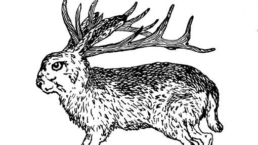 Logotipo de This is Jackalope