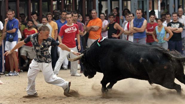 Anulada la prohibición de los bous al carrer en El Moralet