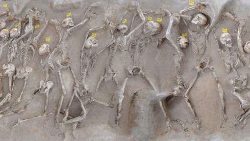 Algunos de los esqueletos descubiertos