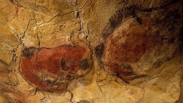 inturas rupestres de la Cueva de Altamira, en Santillana del Mar (Cantabria)