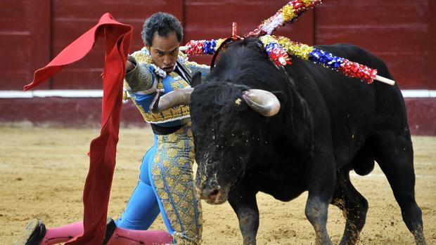 Un antitaurino amenaza con «matar a puñaladas» al torero Luis Bolívar