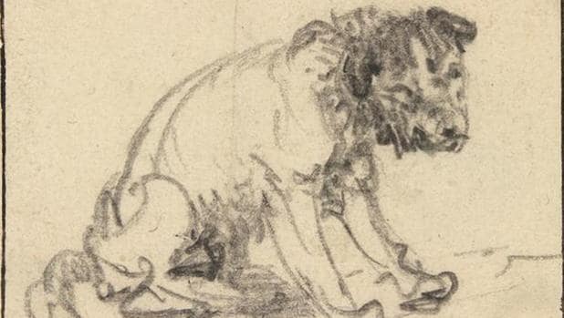El dibujo atribuido a Rembrandt