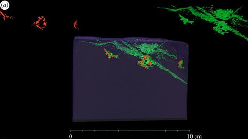 Vista cenital en rayos X del impacto sobre una de las muestras