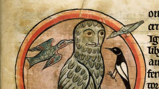 Imagen del Bestiario de Salisbury