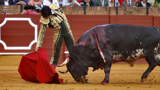 Andrés Roca Rey, durante su faena este viernes