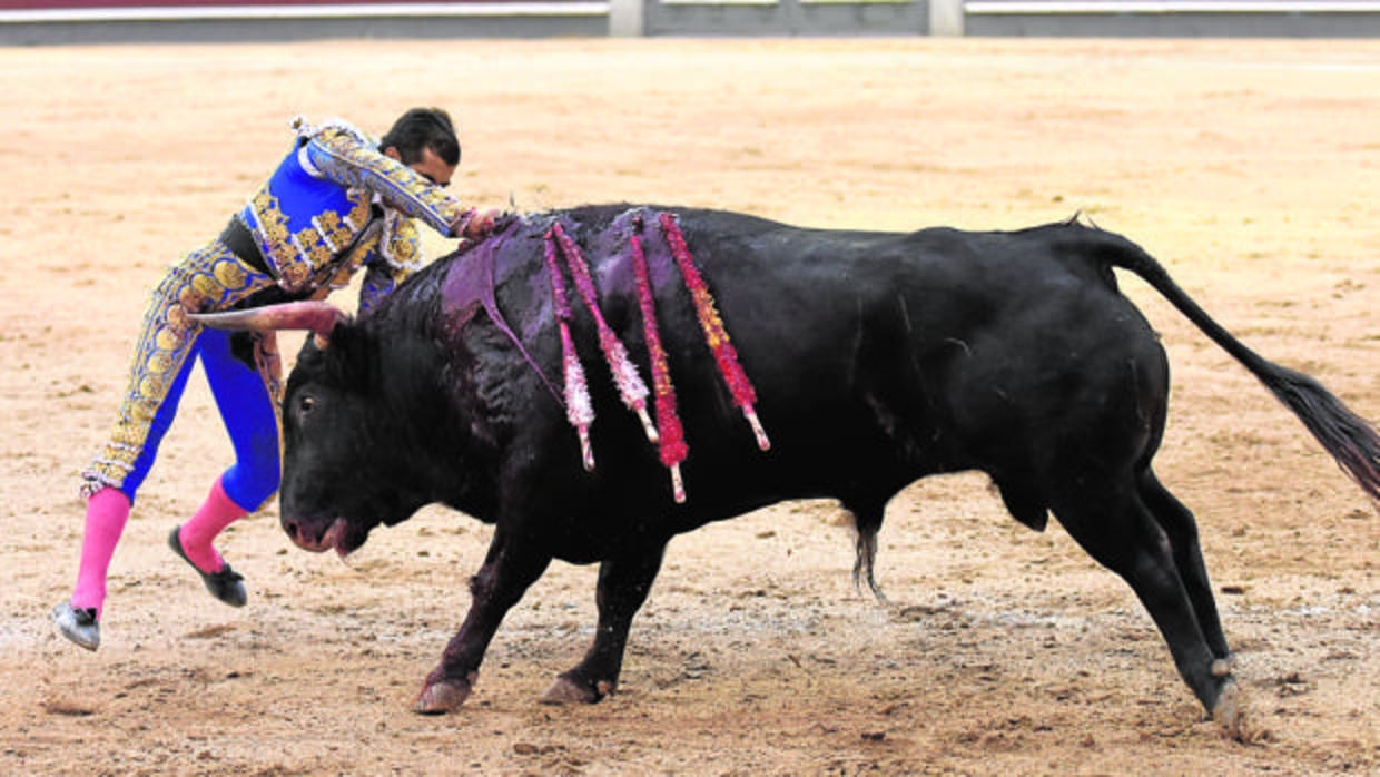 Joselito Adame entra a matar sin muleta al último toro de la desigual corrida de El Torero