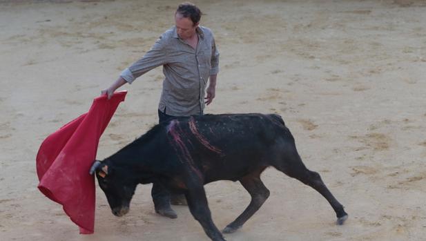 Pepe Luis Vázquez da un pase a la res durante el homenaje que le ha brindado la Escuela de Tauromaquia de Sevilla