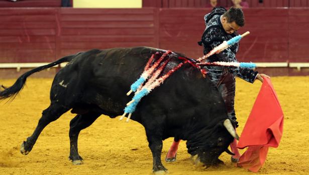 Apoteósico debut de Manzanares en Campo Pequeño