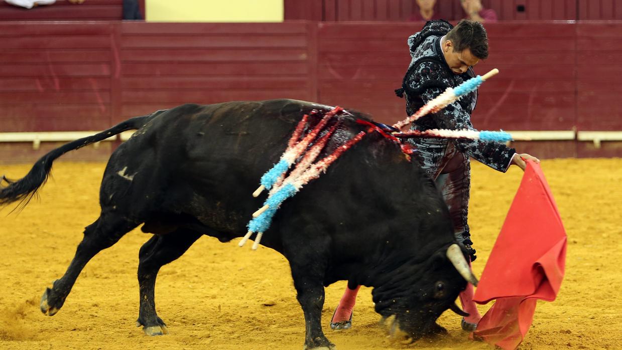 José María Manzanares, en el inicio de un pase de pecho