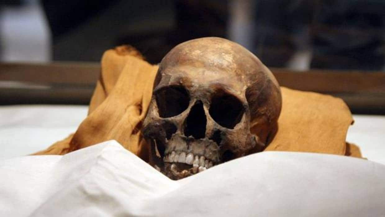 Momia del faraón Akenatón, después de que fuera posible su identificación gracias a las pruebas de ADN en 2010