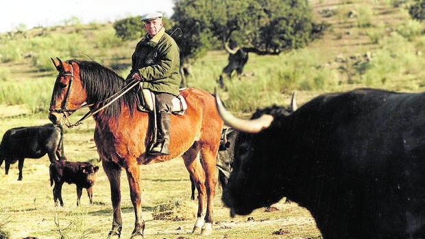 Victorino Martín, de la nada a la cumbre