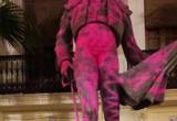La estatua de Ponce en Chiva, embadurnada de pintura rosa