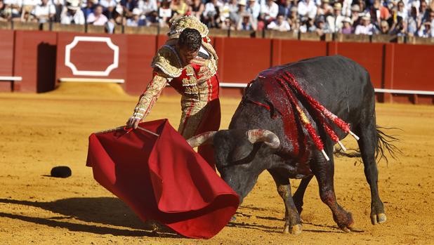 Pepe Moral en la Plaza de Toros de la Real Maestranza de Sevilla